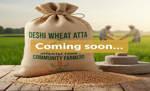 Wheat Atta